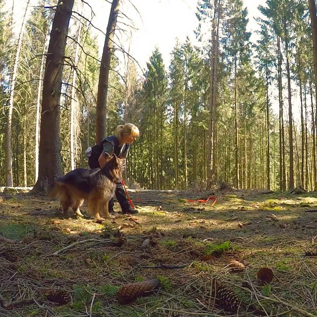 Vorbild sein Canis Meracus hundeschule Ennepetal