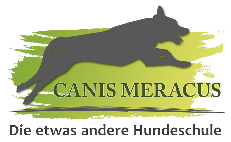 Canis Meracus Hundeschule Ennepetal