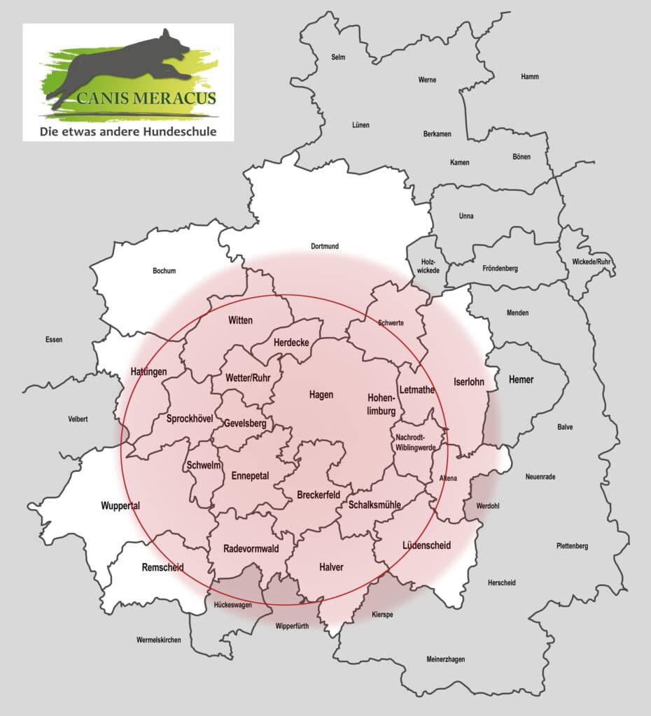 orte-canis-meracus