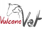 Logo_VulcanoVet Salome