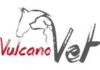 Logo_VulcanoVet Salome